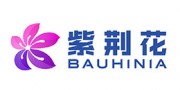紫荆花Bauhinia